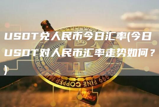 USDT兑人民币今日汇率 - 今日USDT对人民币汇率走势如何？