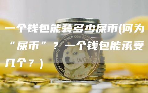 一个钱包能装多少屎币 - 何为“屎币”？一个钱包能承受几个？