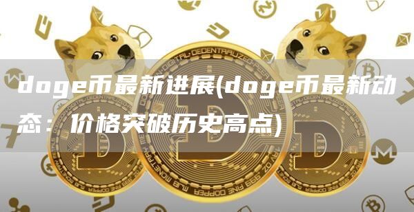 doge币最新进展 - doge币最新动态：价格突破历史高点