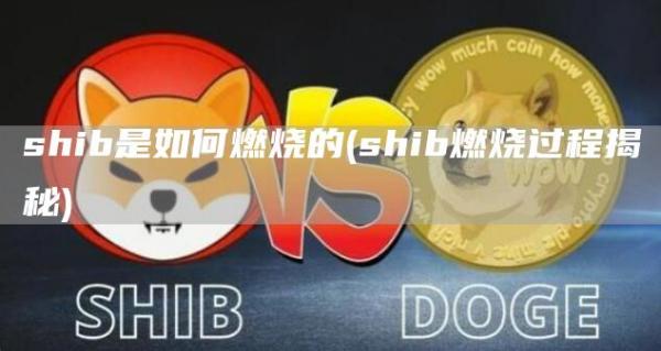shib是如何燃烧的 - shib燃烧过程揭秘