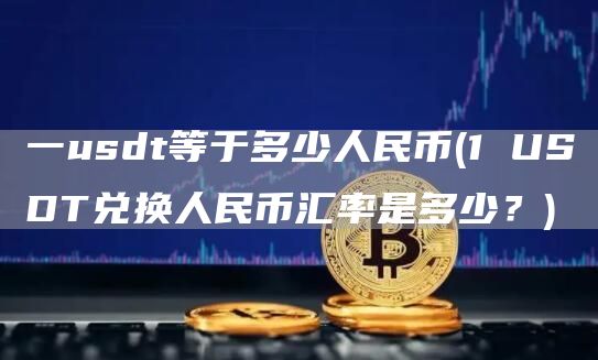 一usdt等于多少人民币 - 1 USDT兑换人民币汇率是多少？