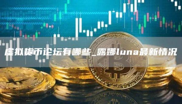 虚拟货币论坛有哪些_露娜luna最新情况