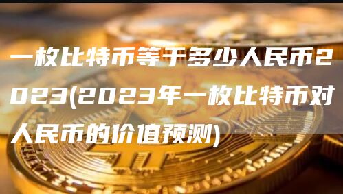 一枚比特币等于多少人民币2023 - 2023年一枚比特币对人民币的价值预测