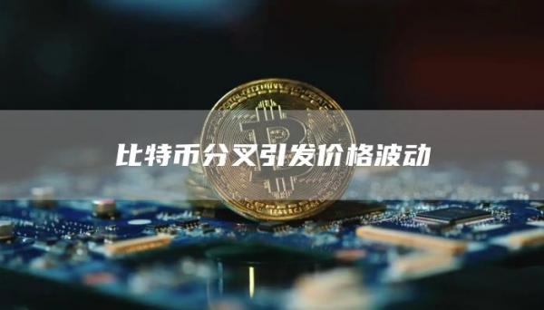 比特币分叉引发价格波动