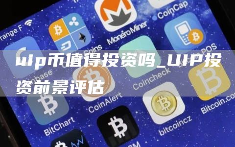 uip币值得投资吗_UIP投资前景评估