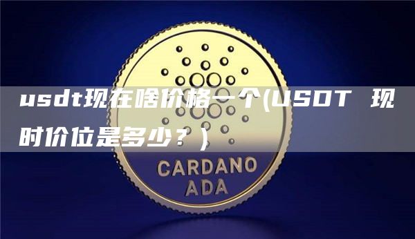 usdt现在啥价格一个 - USDT 现时价位是多少？