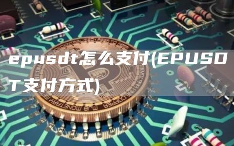 epusdt怎么支付 - EPUSDT支付方式