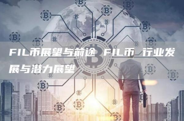 FIL币展望与前途 FIL币 行业发展与潜力展望