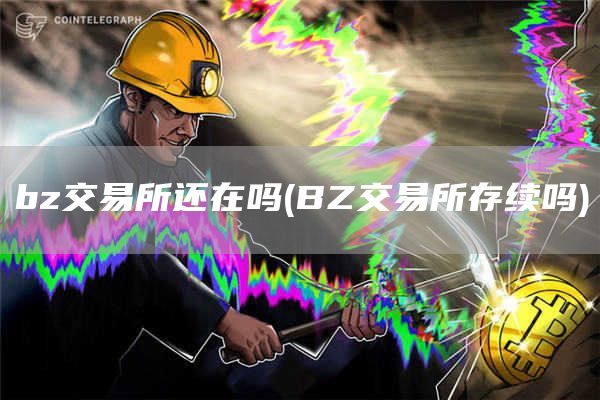 bz交易所还在吗 - BZ交易所存续吗