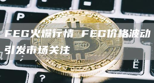 FEG火爆行情 FEG价格波动引发市场关注