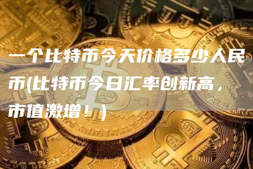 一个比特币今天价格多少人民币 - 比特币今日汇率创新高，市值激增！