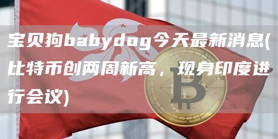 宝贝狗babydog今天最新消息 - 比特币创两周新高，现身印度进行会议
