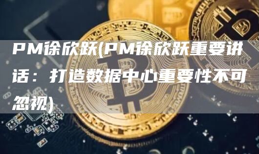 PM徐欣跃 - PM徐欣跃重要讲话：打造数据中心重要性不可忽视