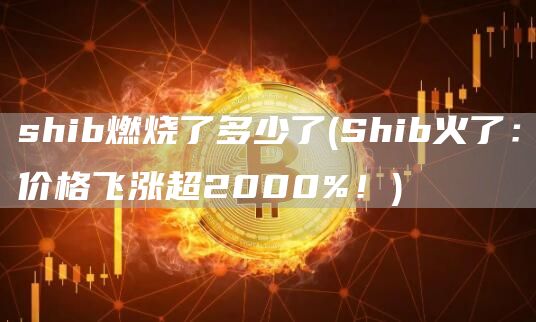 shib燃烧了多少了 - Shib火了：价格飞涨超2000%！