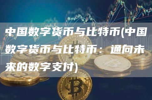 中国数字货币与比特币 - 中国数字货币与比特币：通向未来的数字支付