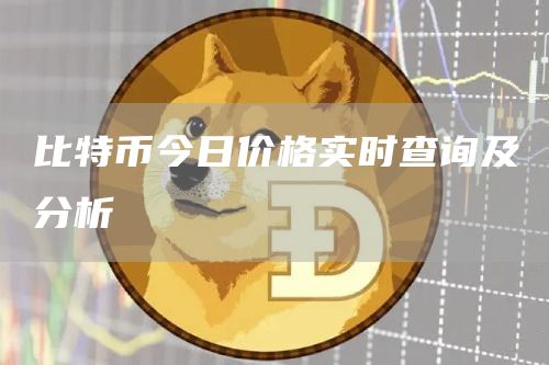 比特币今日价格实时查询及分析