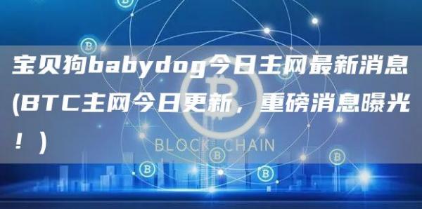 宝贝狗babydog今日主网最新消息 - BTC主网今日更新，重磅消息曝光！