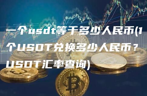 一个usdt等于多少人民币 - 1个USDT兑换多少人民币？USDT汇率查询