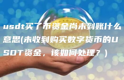 usdt买了币资金尚未到账什么意思 - 未收到购买数字货币的USDT资金，该如何处理？