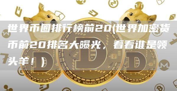 世界币圈排行榜前20 - 世界加密货币前20排名大曝光，看看谁是领头羊！