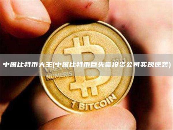 中国比特币大王 - 中国比特币巨头靠投资公司实现逆袭