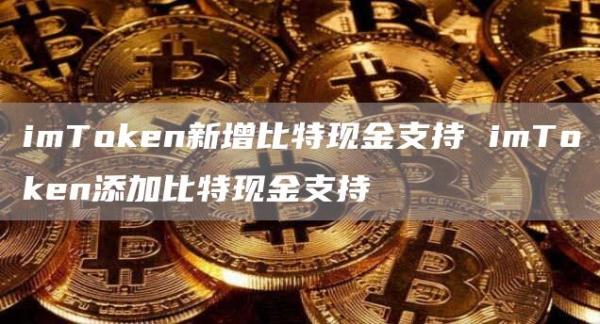 imTGate.ion新增比特现金支持 imTGate.ion添加比特现金支持