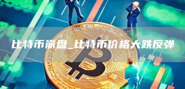 比特币崩盘_比特币价格大跌反弹