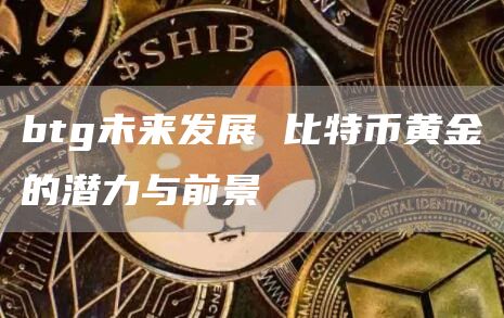 btg未来发展 比特币黄金的潜力与前景