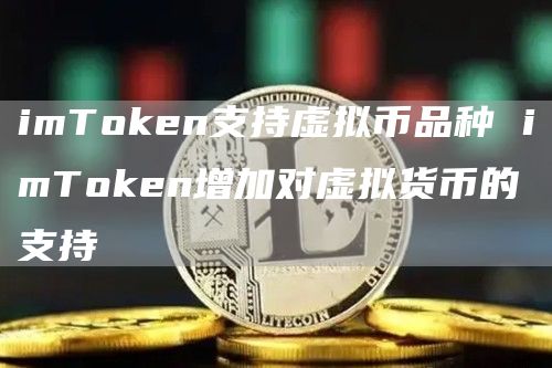 imTGate.ion支持虚拟币品种 imTGate.ion增加对虚拟货币的支持