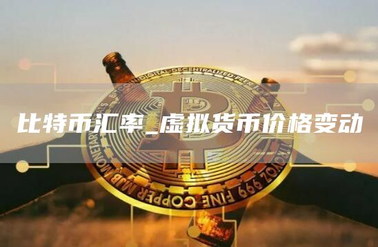 比特币汇率_虚拟货币价格变动