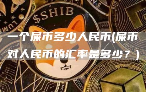 一个屎币多少人民币 - 屎币对人民币的汇率是多少？
