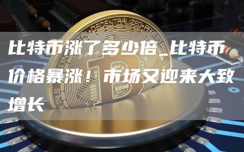 比特币涨了多少倍_比特币价格暴涨！市场又迎来大致增长
