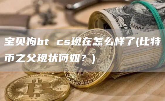宝贝狗bt cs现在怎么样了 - 比特币之父现状何如？