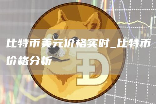 比特币美元价格实时_比特币价格分析
