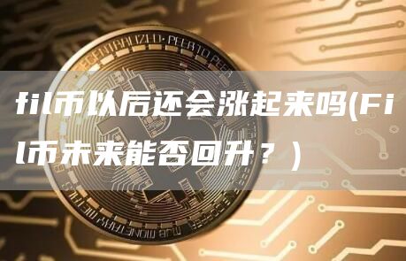 fil币以后还会涨起来吗 - Fil币未来能否回升？