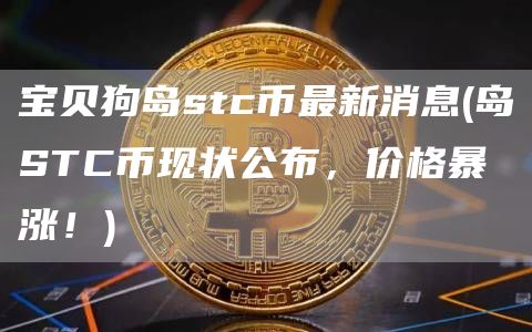 宝贝狗岛stc币最新消息 - 岛STC币现状公布，价格暴涨！